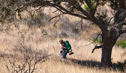 backpacker i bushen