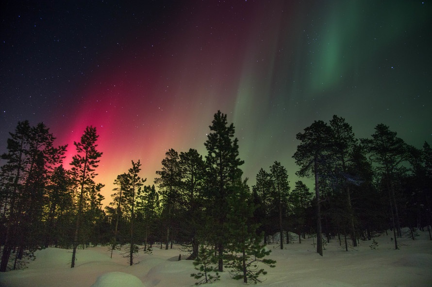 Backapacka inrikes i höst och vinter