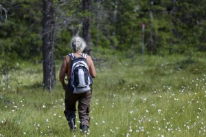 7072964-walk-in-nature