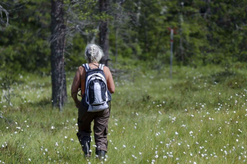 Upptäck land och landskap i Sverige